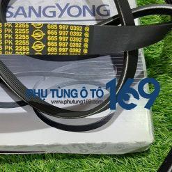 Dây curoa tổng Rexton