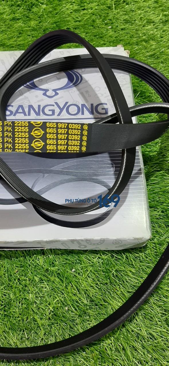 Dây curoa tổng Rexton Dây curoa tổng Rexton