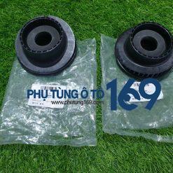 Bi bát bèo trước Forte