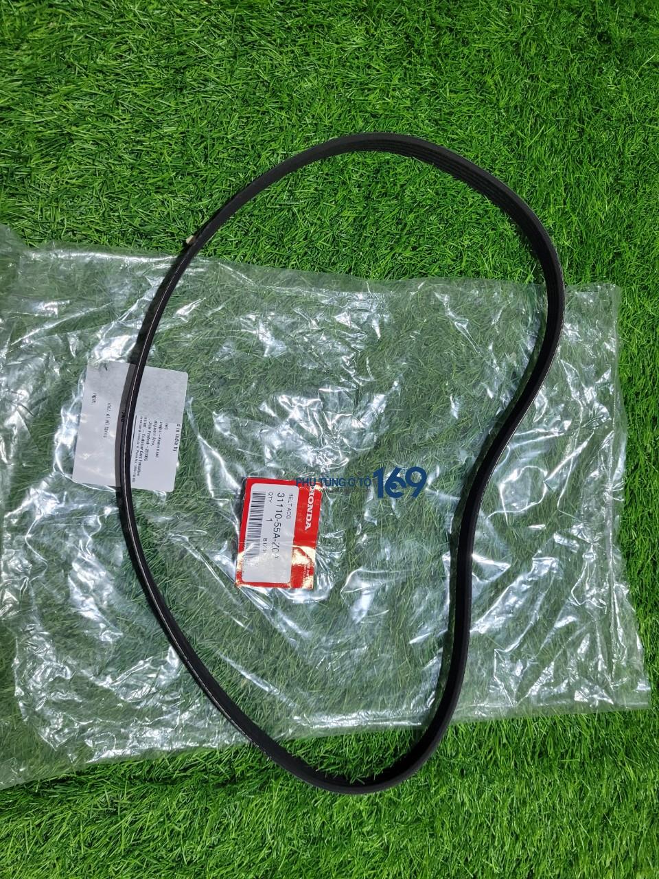 Dây curoa tổng City Dây curoa tổng City