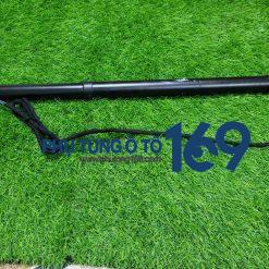 Ty cửa hậu điện Terra