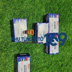 Kim phun xăng Ertiga