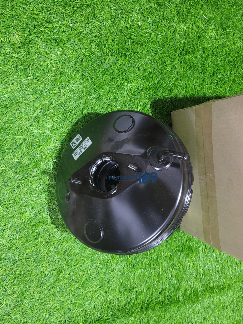 Bầu sẹc vô thắng Morning Bầu sẹc vô thắng Morning