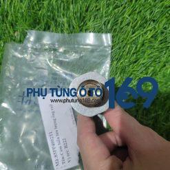 Cảm biến lưu lượng ống Rail Ranger