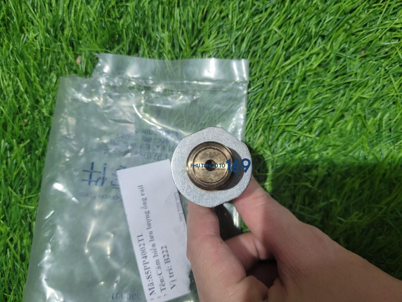 Cảm biến lưu lượng ống Rail Ranger Cảm biến lưu lượng ống Rail Ranger