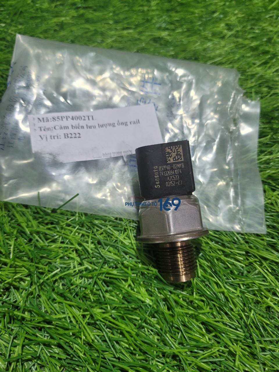 Cảm biến lưu lượng ống Rail Ranger Cảm biến lưu lượng ống Rail Ranger