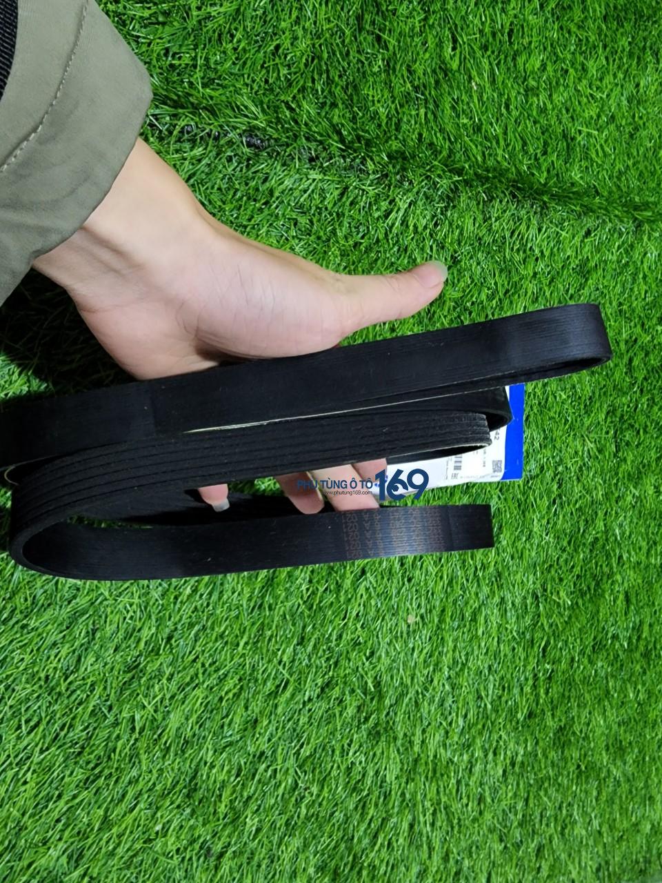 Dây cu roa tổng Captiva Dây cu roa tổng Captiva