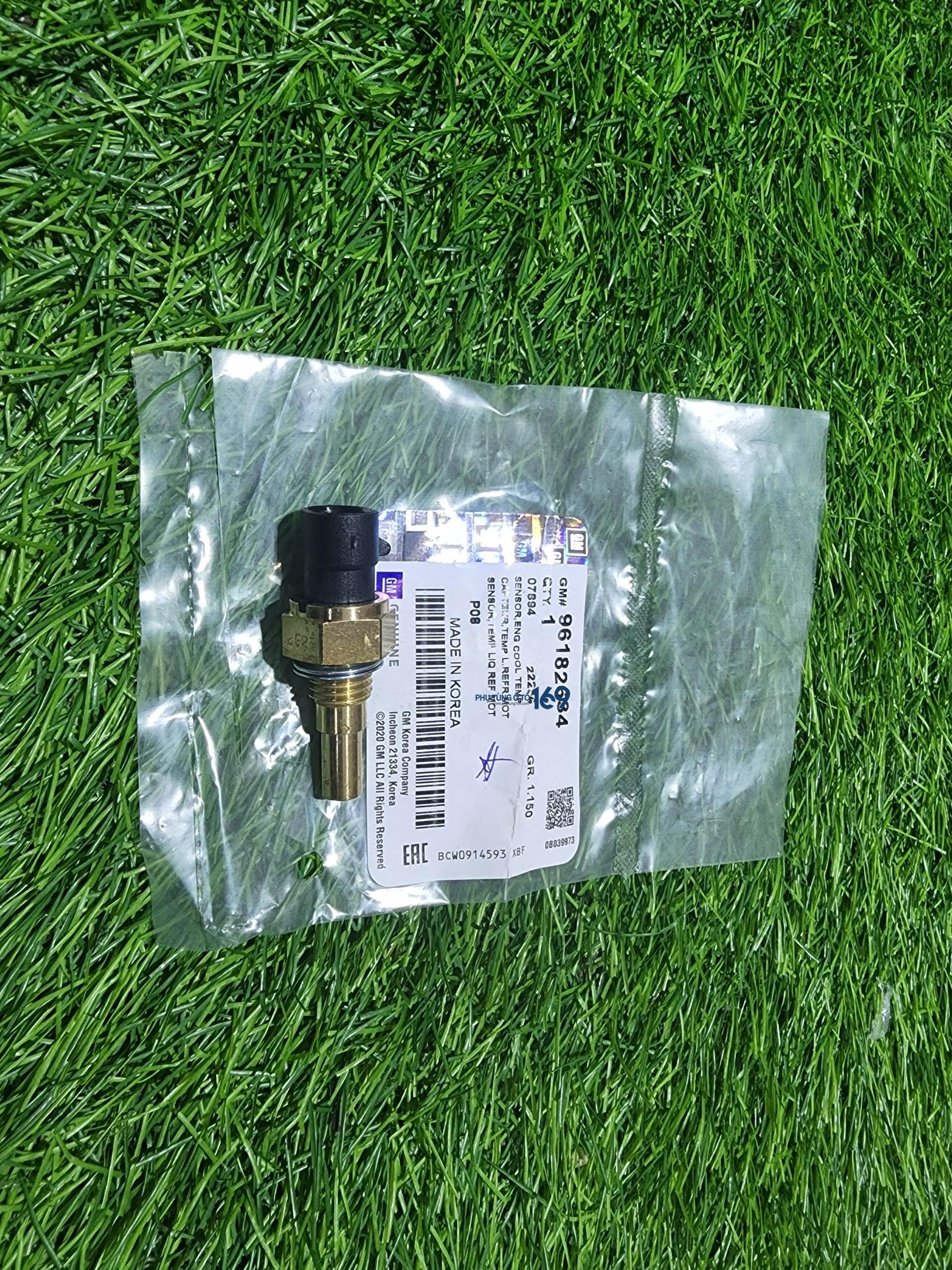 Cảm biến nhiệt độ nước Captiva Cảm biến nhiệt độ nước Captiva