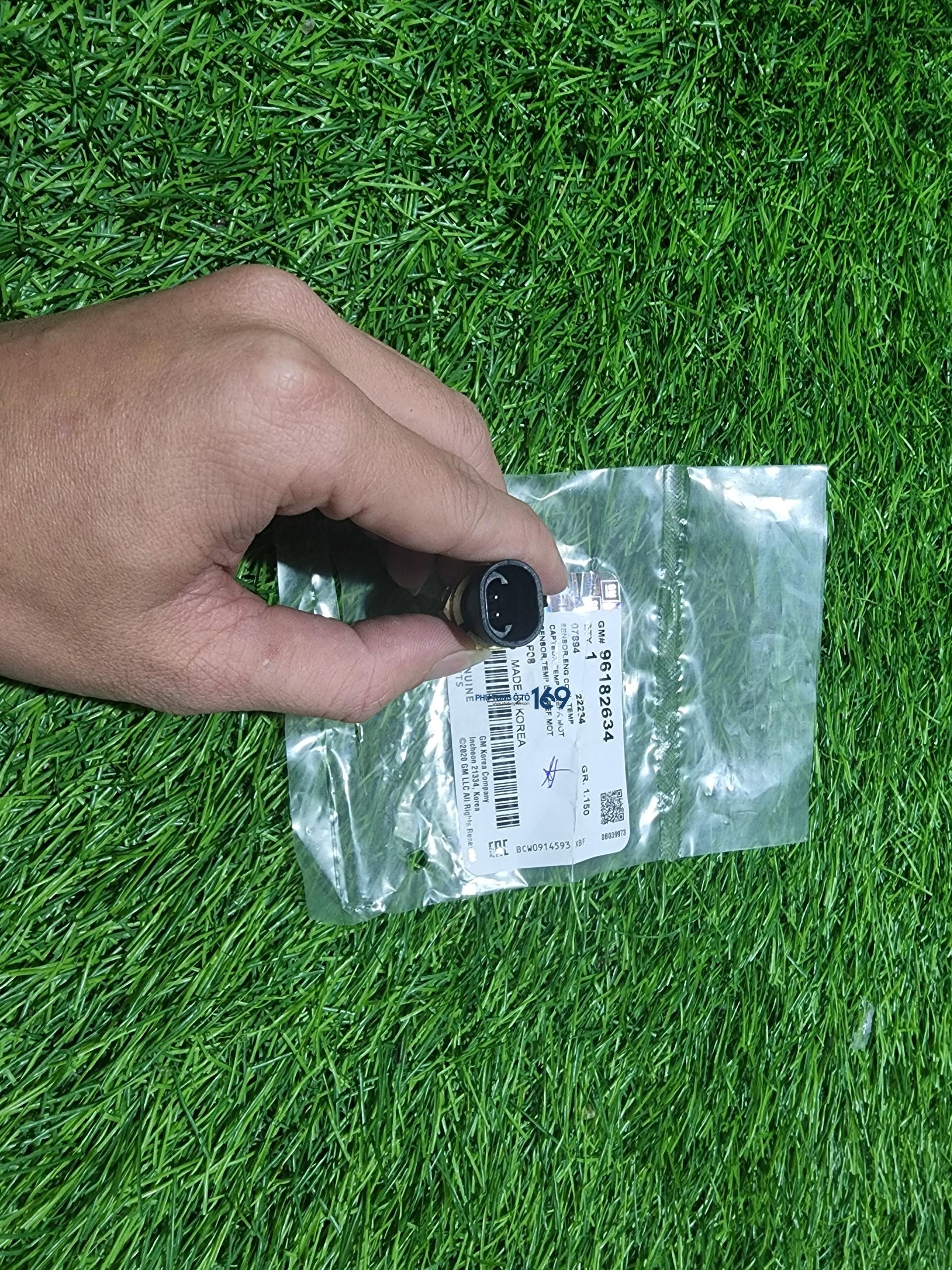 Cảm biến nhiệt độ nước Captiva Cảm biến nhiệt độ nước Captiva