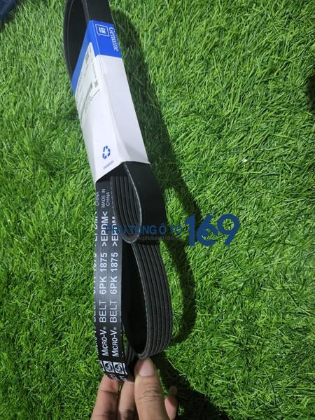 Dây curoa tổng Cruze 1.6 Dây curoa tổng Cruze 1.6