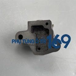 Bua tằng cam Haima 7