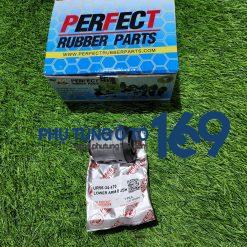 Cao su càng a Everest