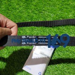 Dây curoa cam Orlando