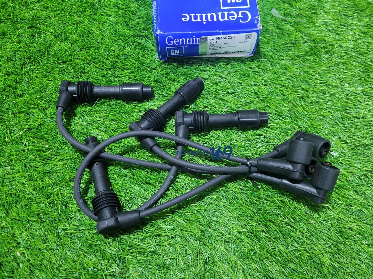 Dây phin Magnus Dây phin Magnus