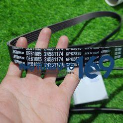 Dây curoa tổng Colorado