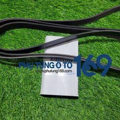 Dây curoa tổng Colorado