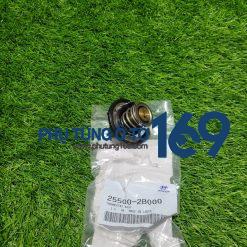 Van hằng nhiệt Carens