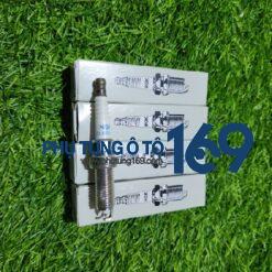 Bugi đánh lửa Sunny