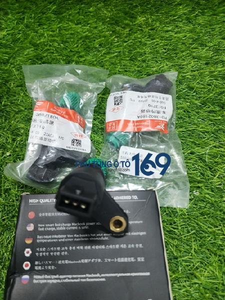 Sâu công tơ mét Byd F0 Sâu công tơ mét Byd F0