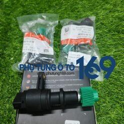 Sâu công tơ mét Byd F0