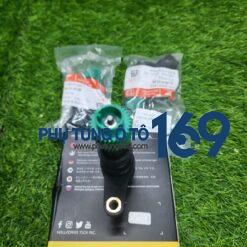 Sâu công tơ mét Byd F0