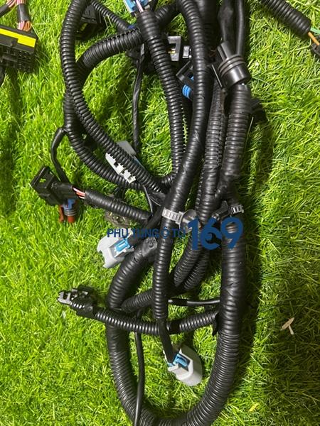 Dây điện động cơ Gentra Dây điện động cơ Gentra