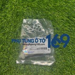 Sâu công tơ mét Nubira