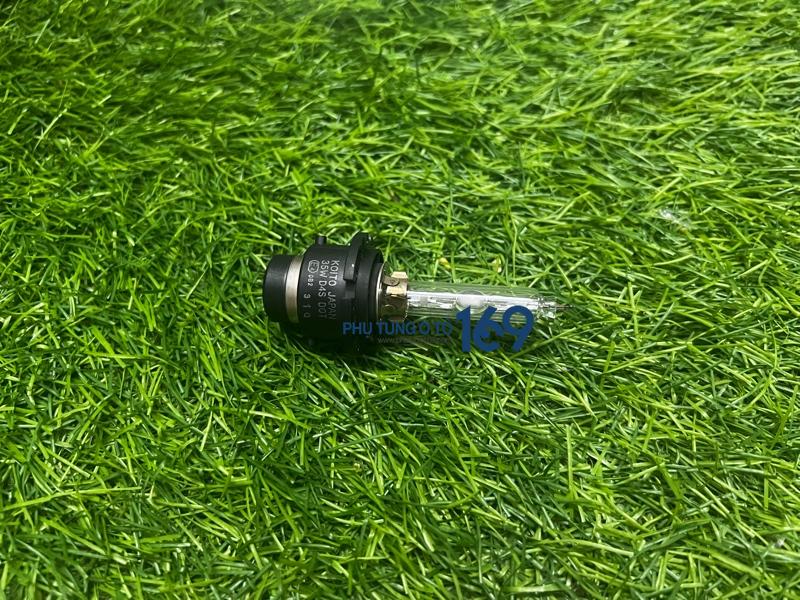 Bóng đèn pha led D4s Bóng đèn pha led D4s