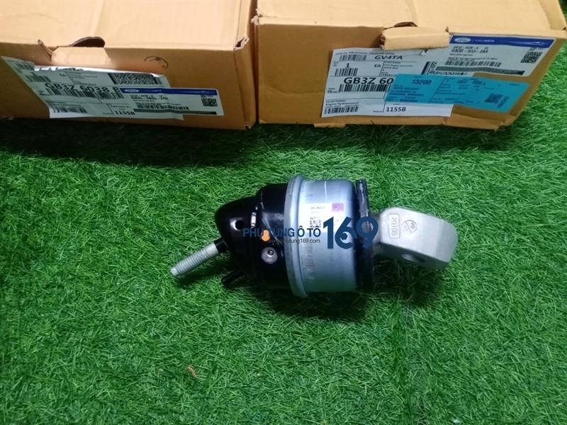 Chân máy phải Ranger Chân máy phải Ranger