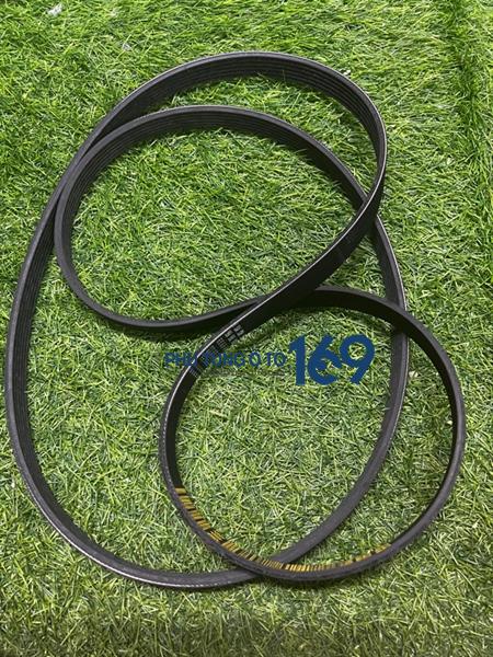 Dây curoa tổng Stavic Dây curoa tổng Stavic