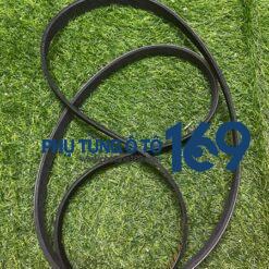 Dây curoa tổng Stavic