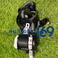 Dây đai bảo hiểm Accent