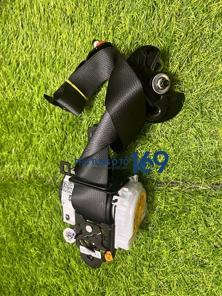 Dây đai bảo hiểm Accent Dây đai bảo hiểm Accent