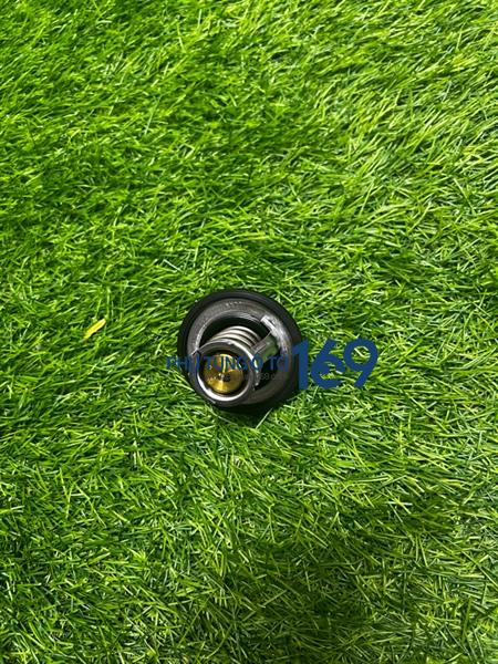 Van hằng nhiệt Elantra Van hằng nhiệt Elantra