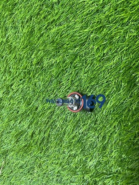 Bóng đèn pha H11 Bóng đèn pha H11