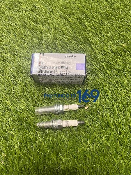 Bugi chân kim Accent Bugi chân kim Accent