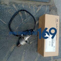 Cảm biến oxy Hyundai Santafe
