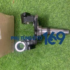 Đầu tăm bét trái Bongo 3