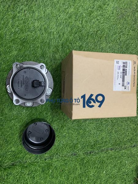 Bi may ơ sau Sorento Bi may ơ sau Sorento