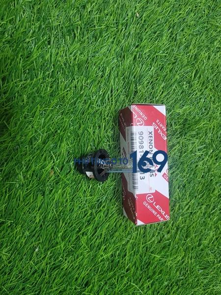 Bóng đèn D4S Bóng đèn D4S