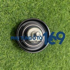 Bi tỳ sắt Transit