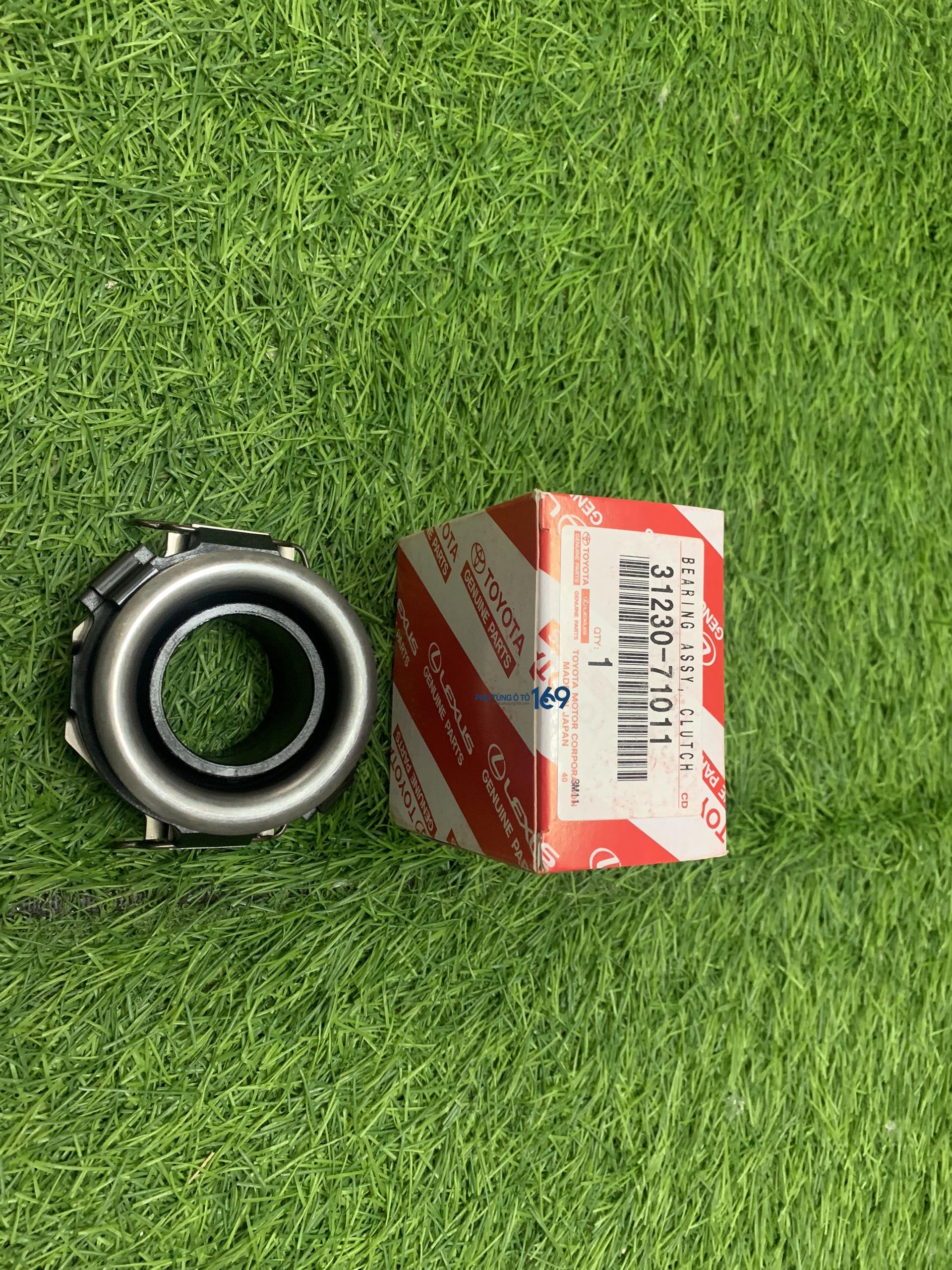 Bite Fortuner Bite Fortuner