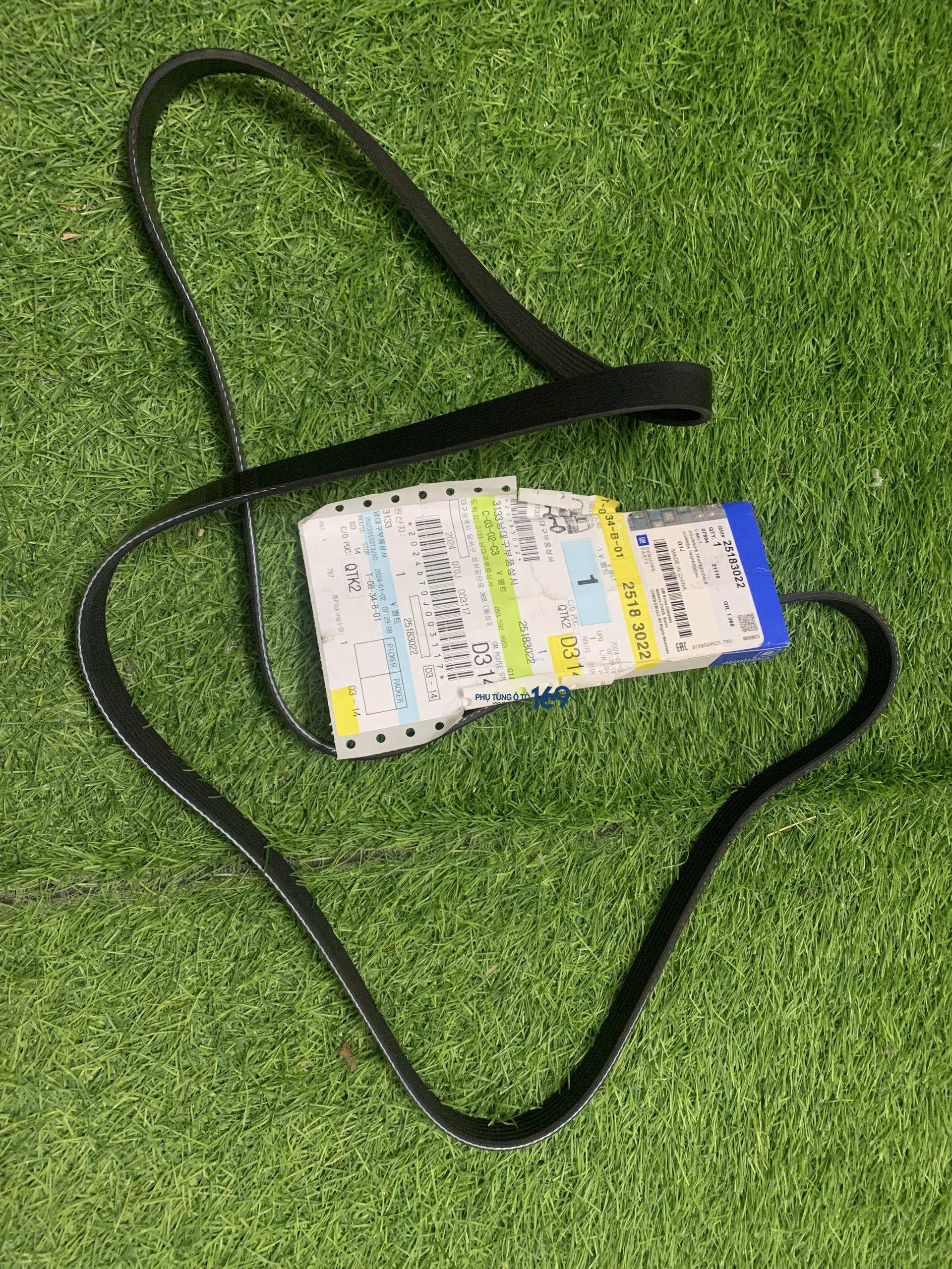 Dây curoa tổng Vivant Dây curoa tổng Vivant