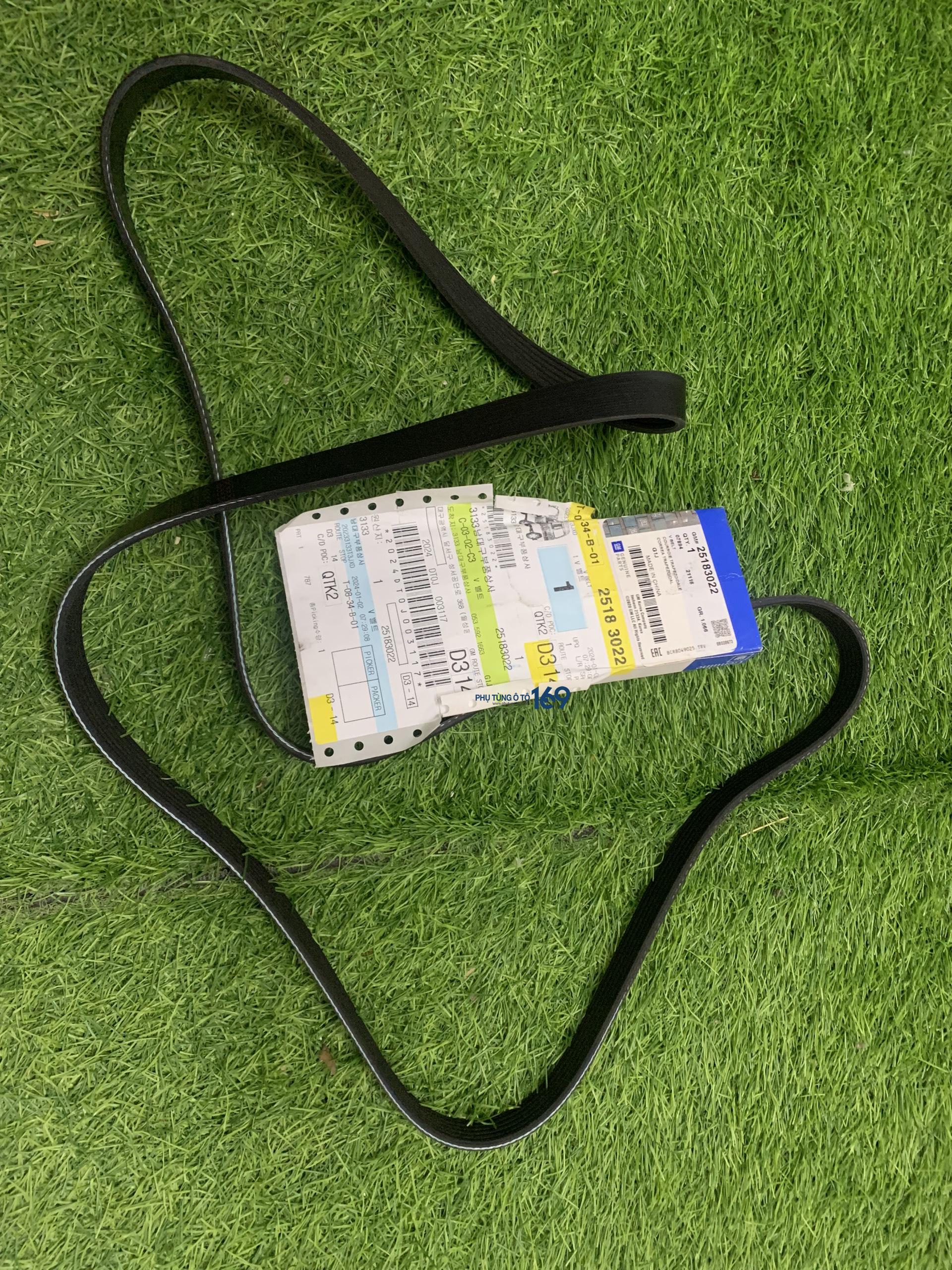 Dây curoa tổng Vivant Dây curoa tổng Vivant