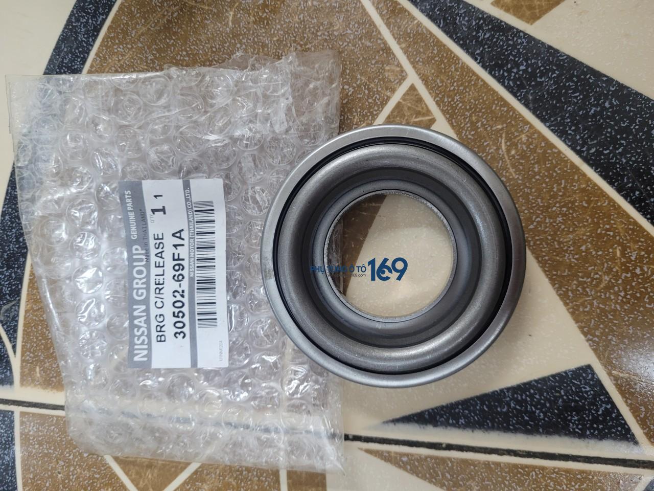 Bi tê Terra Bi tê Terra