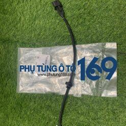 Cảm biến trục cơ CDX
