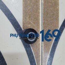 Cao su càng a bé Gentra