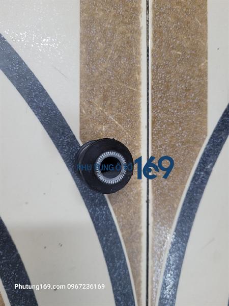 Cao su càng a bé Gentra Cao su càng a bé Gentra