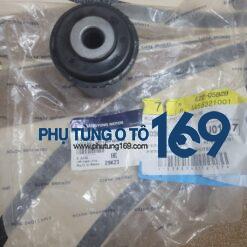 Cao su càng a dưới Stavic