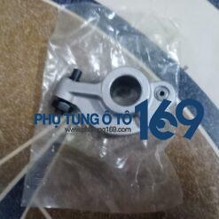 Con cò bi hút Jolie chạy chế